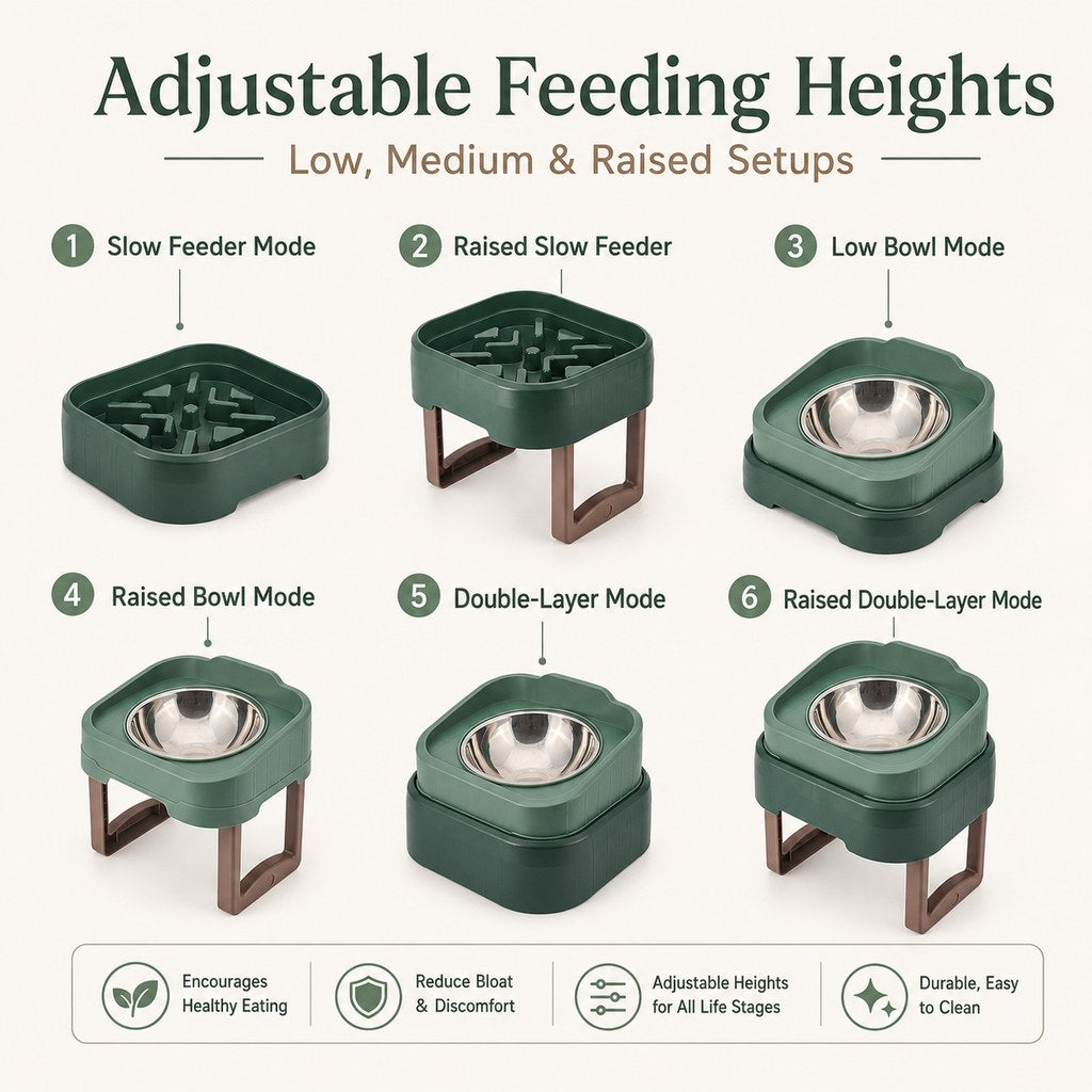 Elevated Slow Feeder Bowl – Slower Meals, Less Mess