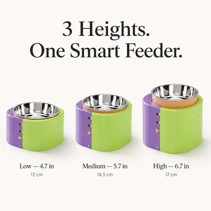 Elevated Slow Feeder Bowl – Adjustable 3 Levels