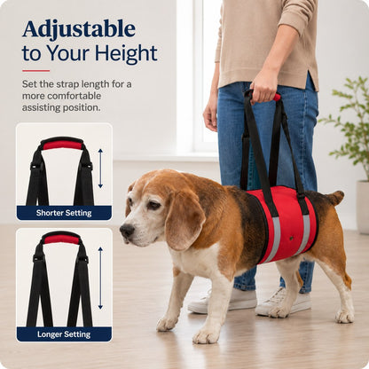 Reflective Dog Lift Sling – Belly Support for Mobility