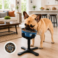 Blue Stainless Steel Bowl Set