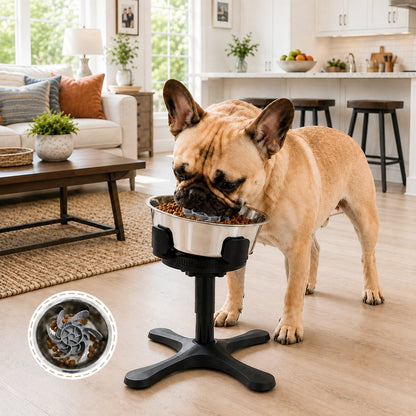 Tilted Elevated Dog Bowl – Less Neck Strain, Slow Feeding