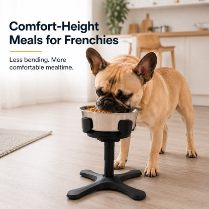 Tilted Elevated Dog Bowl – Less Neck Strain, Slow Feeding