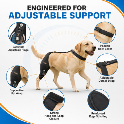 Hinged Dog Knee Brace – Rear Leg Support