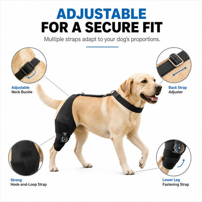 Hinged Dog Knee Brace – Rear Leg Support