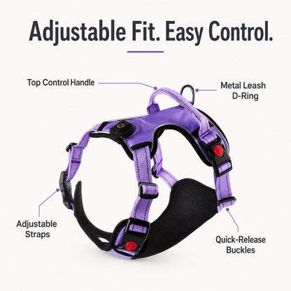 Rechargeable LED Dog Harness – Glow for Night Walks