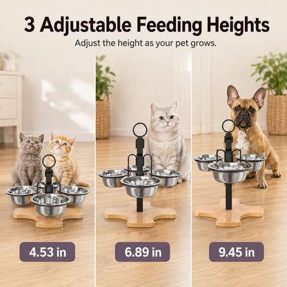 4-Bowl Adjustable Elevated Feeder – Organized Meals