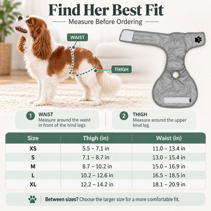 Washable Female Dog Diaper – Heat & Leak Protection
