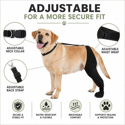 Rear Leg Recovery Sleeve with Paw Cover – Limits Licking