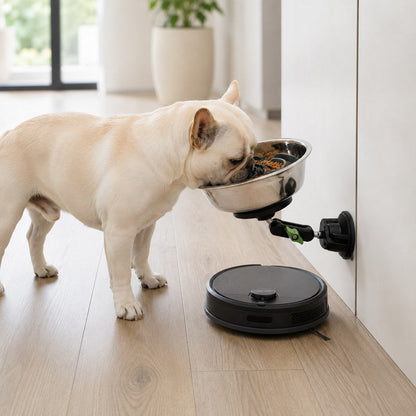 Suction Slow Feeder Bowl – Floor or Wall Setup