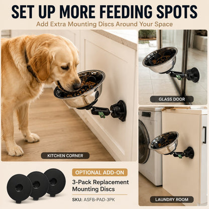 Suction Slow Feeder Bowl – Floor or Wall Setup
