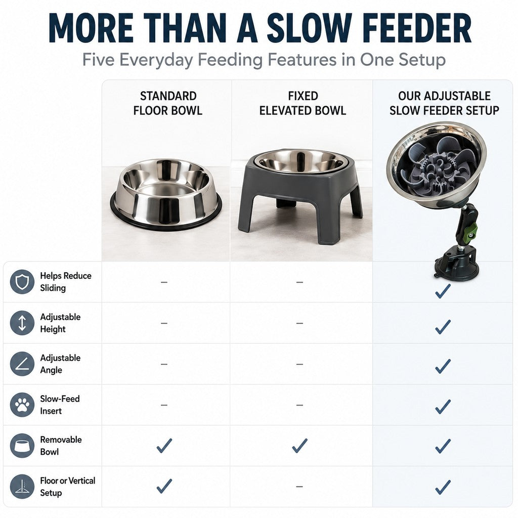 Suction Slow Feeder Bowl – Floor or Wall Setup