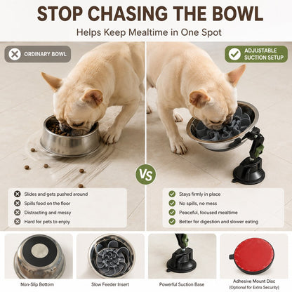Suction Slow Feeder Bowl – Floor or Wall Setup