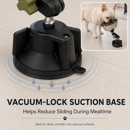 Suction Slow Feeder Bowl – Floor or Wall Setup