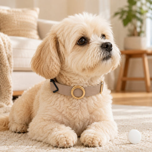 AirTag Pet Collar Holder – No-Dangle Tracker Protection