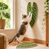 Anthurium Leaf