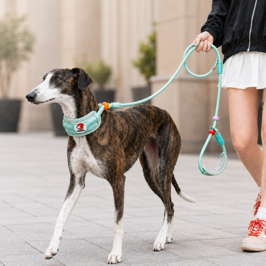 Anti-Choke Padded Dog Leash – Neck Protection & Control