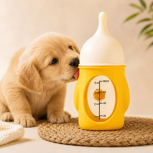 Feeding & Watering