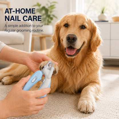 Pet Nail Clippers – Easy Safe At-Home Trims