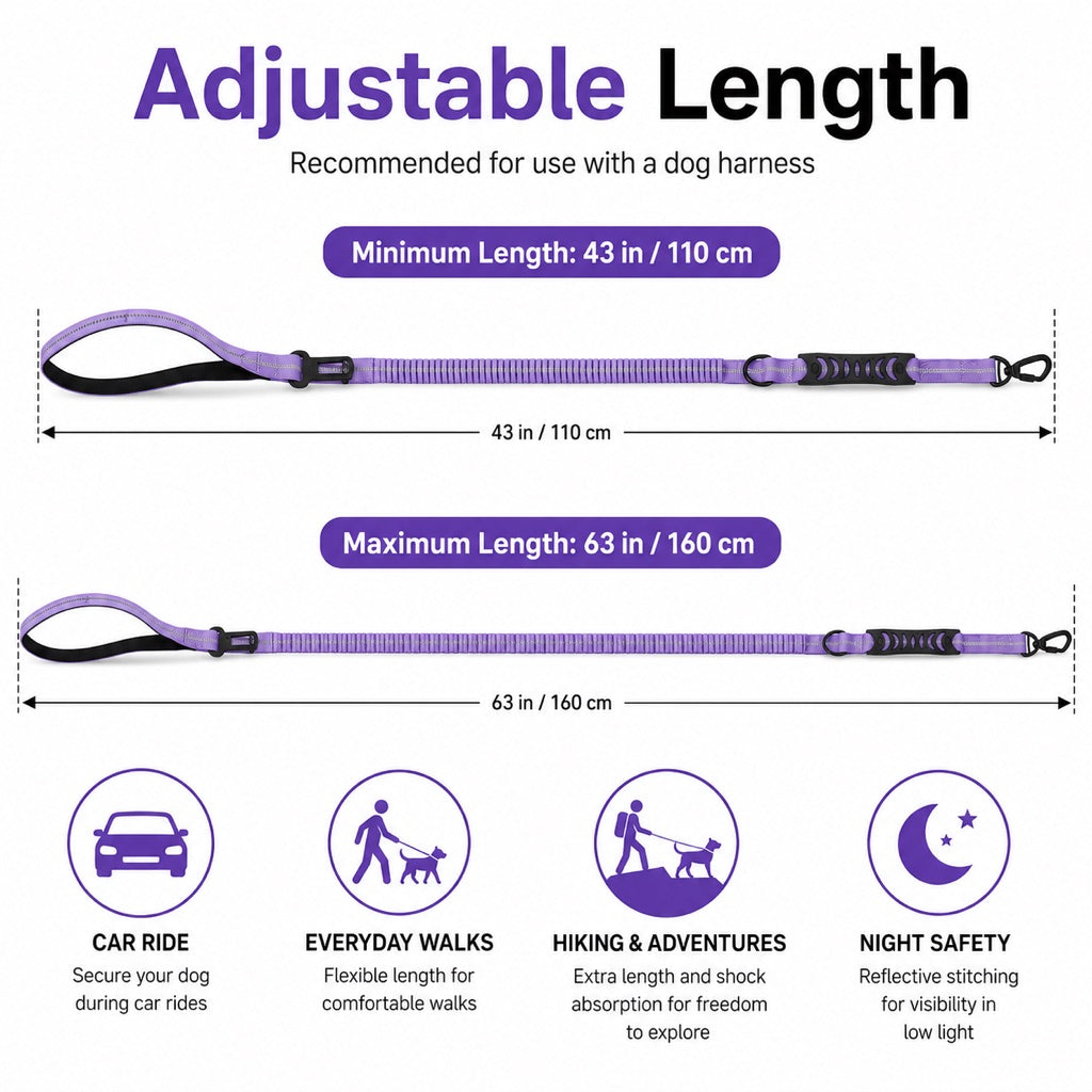 Dog Car Seat Belt Leash – Shock-Absorbing Safety