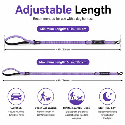 Dog Car Seat Belt Leash – Shock-Absorbing Safety