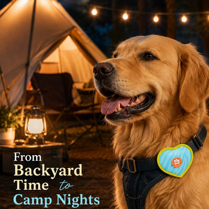 Heart LED Pet Safety Light – Visible on Night Walks