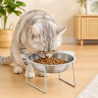 Bear Cat Bowl