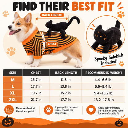 Black Cat Rider Pet Costume – Funny 3D Halloween