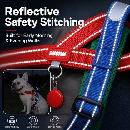 No-Choke Frenchie Harness & Leash Set – Reflective Control