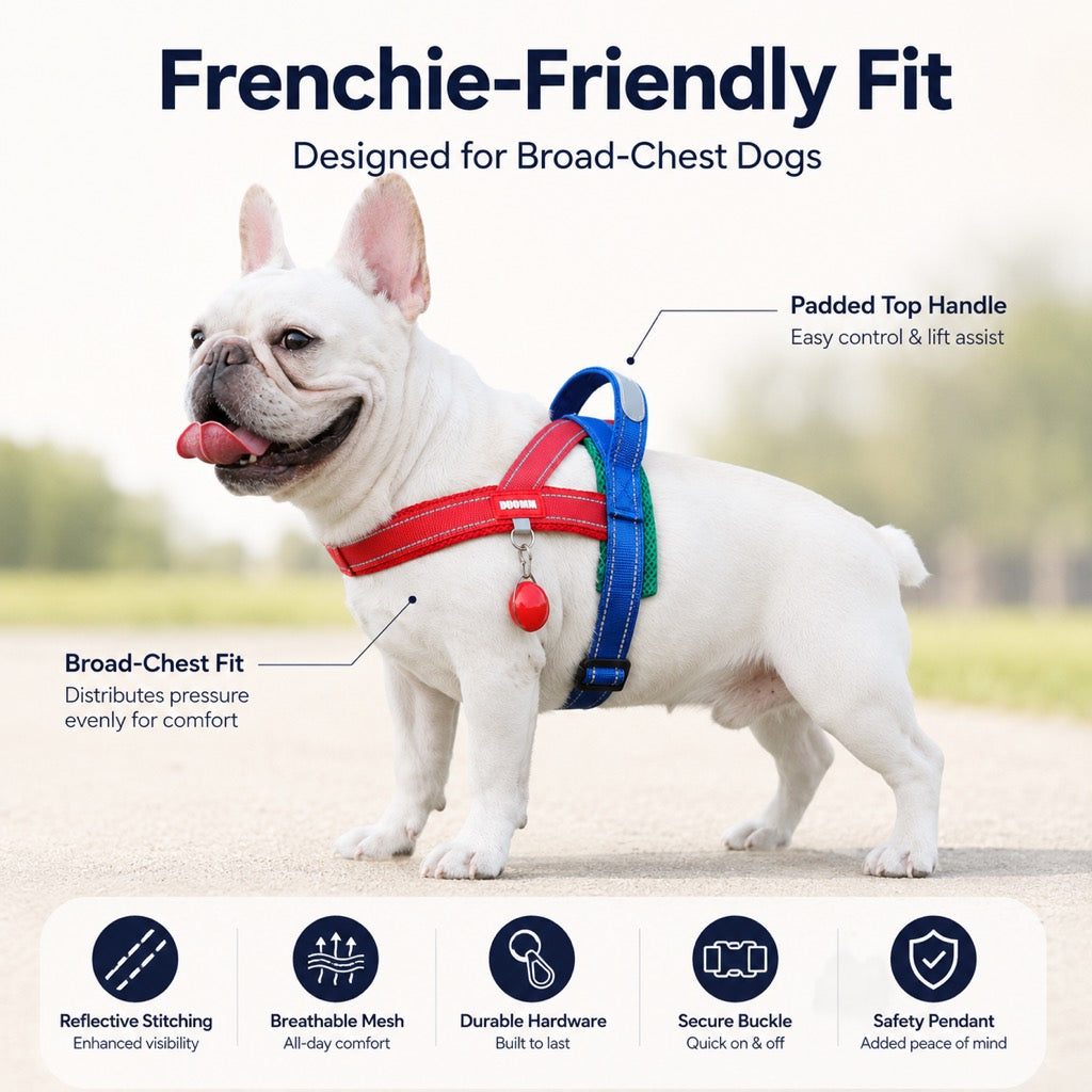 No-Choke Frenchie Harness & Leash Set – Reflective Control
