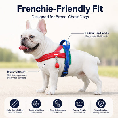 No-Choke Frenchie Harness & Leash Set – Reflective Control