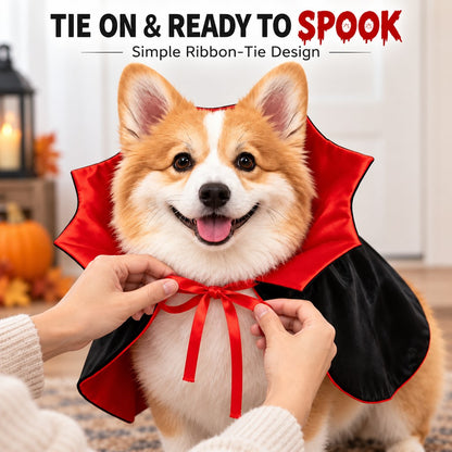 Vampire Dog Cape – Easy Halloween Costume