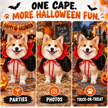 Vampire Dog Cape – Easy Halloween Costume