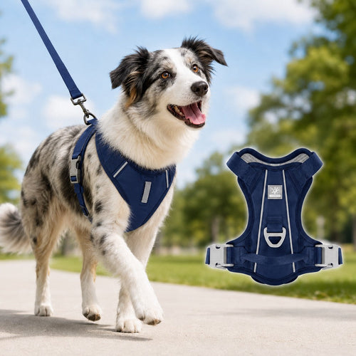Reflective No-Pull Dog Harness – Safe Night Walks