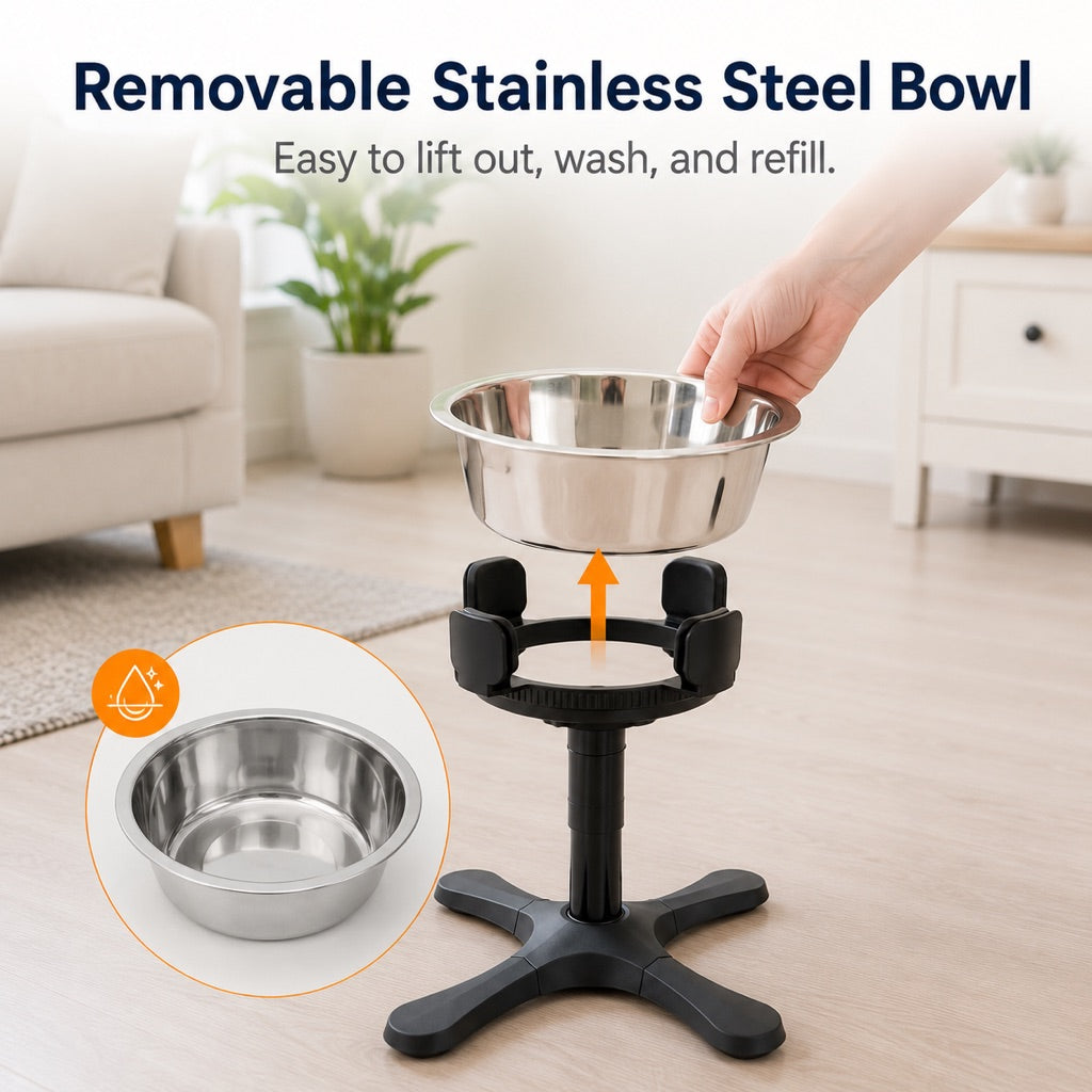 Tilted Elevated Dog Bowl – Less Neck Strain, Slow Feeding