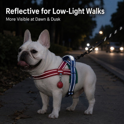 No-Choke Frenchie Harness & Leash Set – Reflective Control