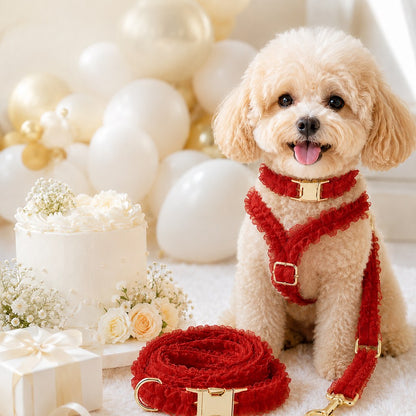 Lace Dog Harness, Collar & Leash Set – 3-Piece Ruffle