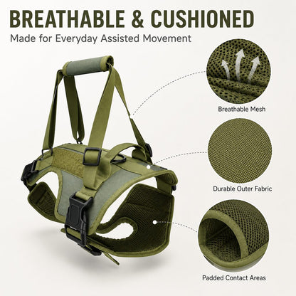 Full-Body Dog Lift Harness – Stairs & Car Support