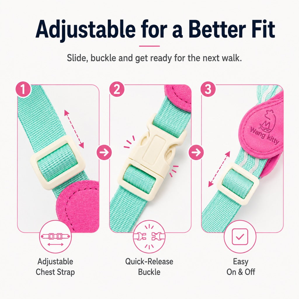 Padded Dog Harness & Leash Set – Easy Control