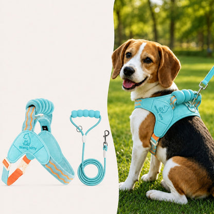 Padded Dog Harness & Leash Set – Easy Control