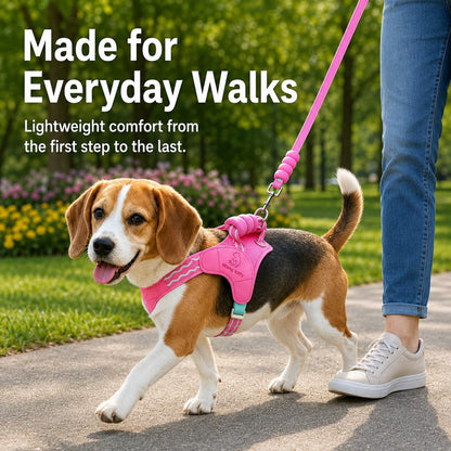 Padded Dog Harness & Leash Set – Easy Control
