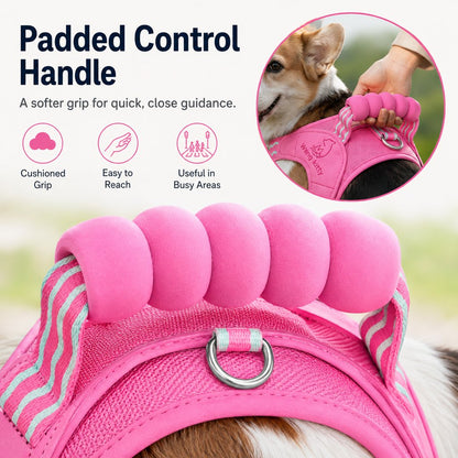 Padded Dog Harness & Leash Set – Easy Control