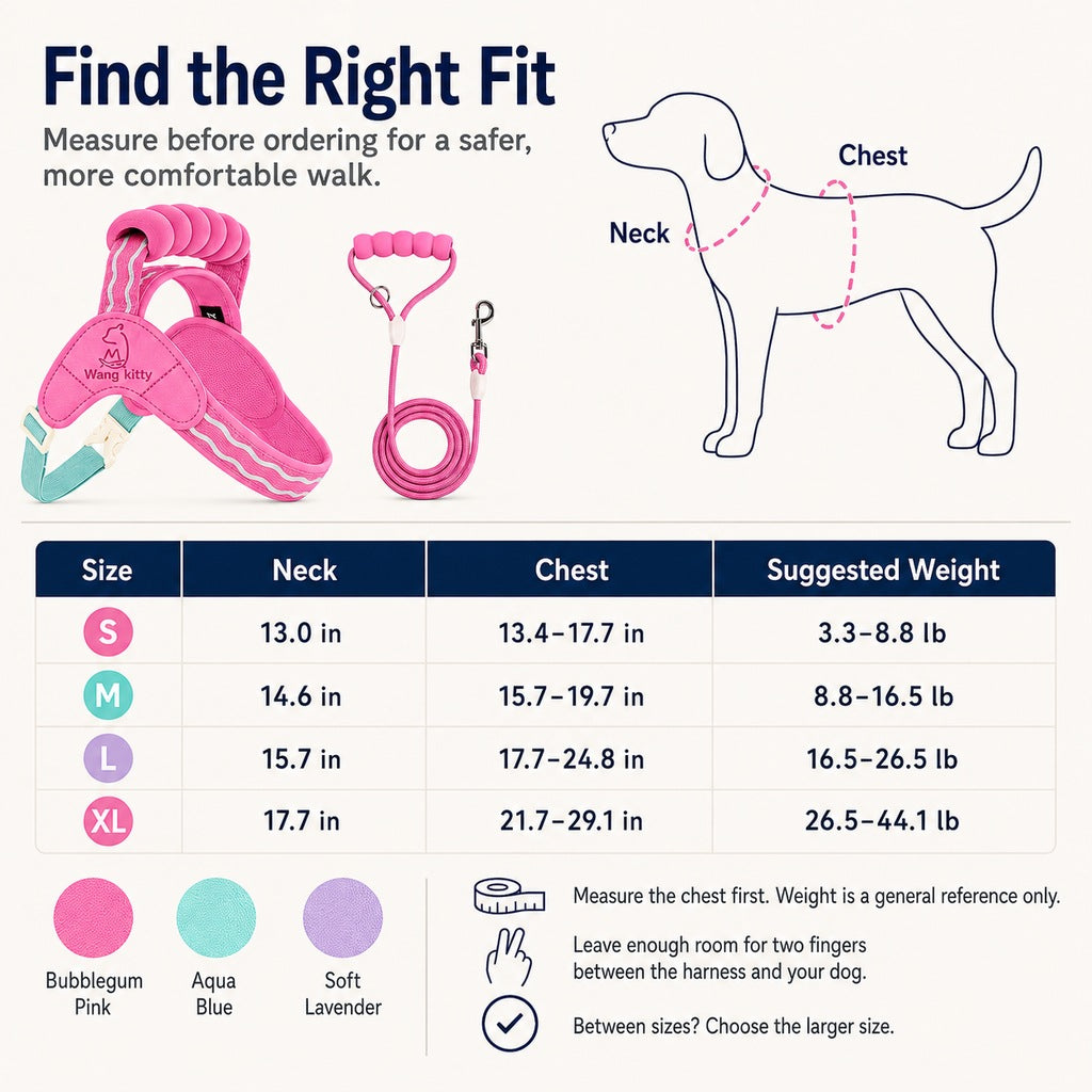 Padded Dog Harness & Leash Set – Easy Control