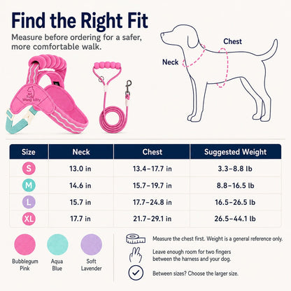Padded Dog Harness & Leash Set – Easy Control