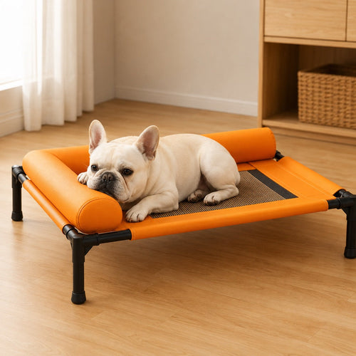 Elevated Dog Cot with Bolsters – Cooler, Breathable Naps
