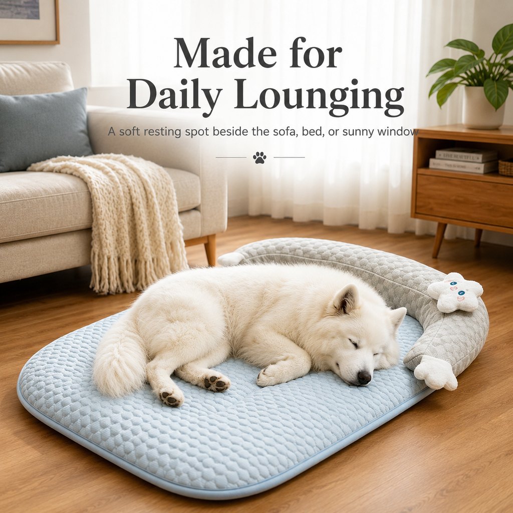 Soft Lounging Spot