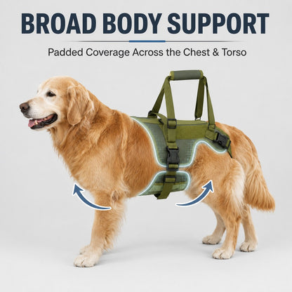 Full-Body Dog Lift Harness – Stairs & Car Support