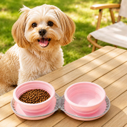 2-in-1 Collapsible Travel Bowl – Feed & Hydrate Anywhere