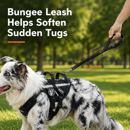 Outdoor Dog Harness & Bungee Leash Set – Hike Ready
