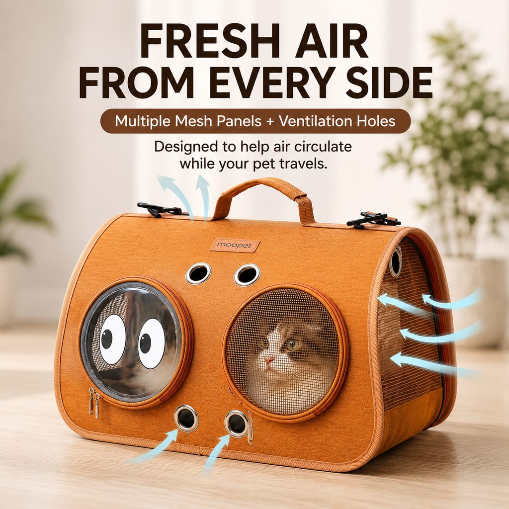 Breathable Foldable Cat Carrier – Vet & Travel Ready