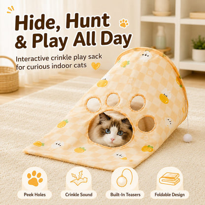 Cat Crinkle Play Sack – Hide & Pounce Fun